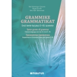 Grammike grammatikat. Eesti keel teise keelena 0-B1 tasemele